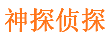 秦安捉小三公司